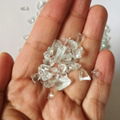 plate clear glass chips 3