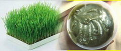 Seraphic 100% pure wheat grass ointment