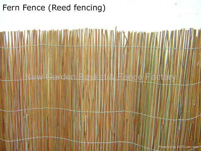 fern fence,dark reed fence,fern screening,fern screen,fern fencing 4