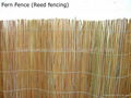 fern fence,dark reed fence,fern screening,fern screen,fern fencing 4