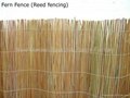 fern fence,dark reed fence,fern screening,fern screen,fern fencing