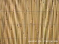 bamboo fence,bamboo fencing,bamboo screen,bamboo roll fence,bamboo screening