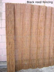 fern fence,dark reed fence,fern screening,fern screen,fern fencing