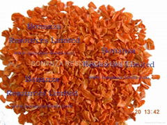 new crop ISO Certificate Golden Supplier Dehydrated AD Air Dried Carrot