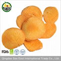  Natural Freeze Dried FD Apricot Fruit Snack 5