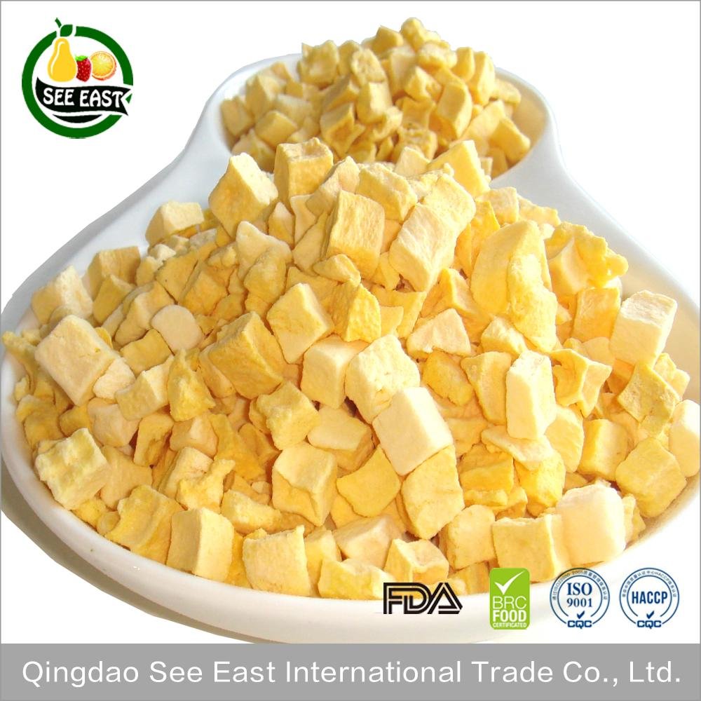 HACCP Certified Organic Sugar Free Freeze Dried Fruit Snack-Mango chips