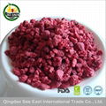 Heathy dried berries snacks Freeze Dried Healthy Fruit -Raspberry 4