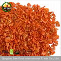 new crop ISO Certificate Golden Supplier Dehydrated AD Air Dried Carrot 2