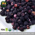 fruit snacks with sterility factory supply Freeze Dried Healthy Fruit -Blueberry 1