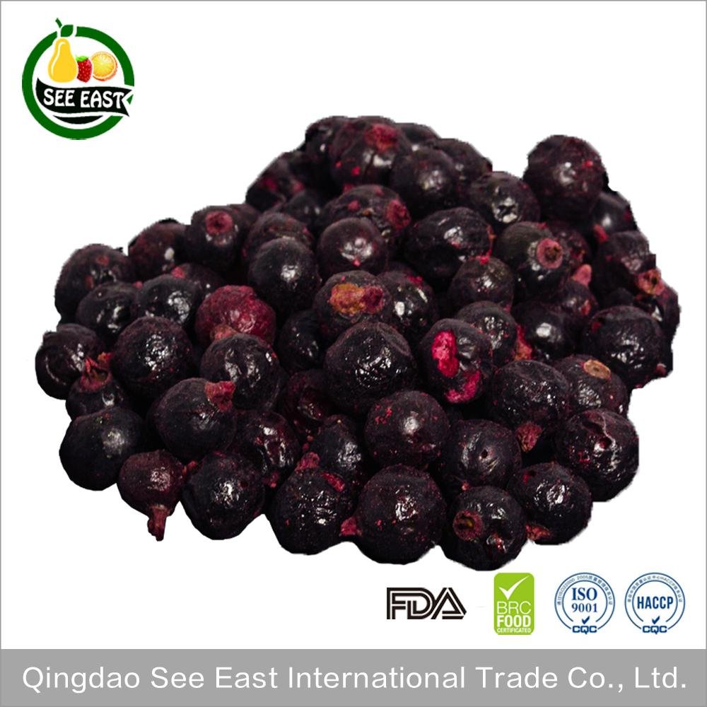 New Arrival Certified  Freeze Dried Fruit Snack- healthy foods Black Currant