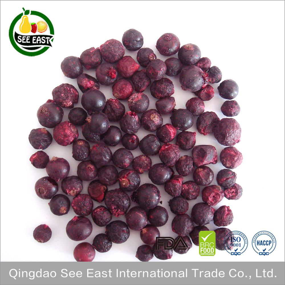 New Arrival Certified  Freeze Dried Fruit Snack- healthy foods Black Currant 2