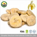 Golden Supplier HACCP BRC Freeze Dried Fruit Snack- Banana Chips