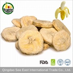 Golden Supplier HACCP BRC Freeze Dried Fruit Snack- Banana Chips