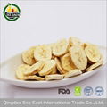 Golden Supplier HACCP BRC Freeze Dried Fruit Snack- Banana Chips 2