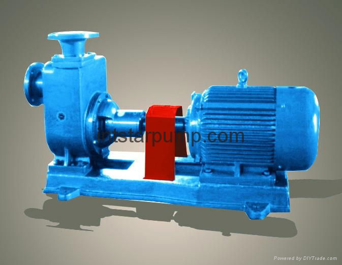 Marine pump