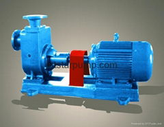 Marine pump