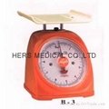Dial Spring Scale Table Scales 