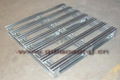 plastic  tray exported