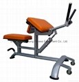 body building,fitness equipment,home gym,Biceps Curl & Triceps Pull-Down,HC-503