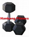 NEW Hex Rubber Coated Dumbbell(HD-003) 1