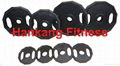 IVANKO 2''Olympic Weight Plates( HW-003)