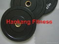 Bumper-Plates -HW-006  1