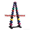 fitness,body building,hammer strength,Vinyl Dumbbell Rack ( HR-005) 1