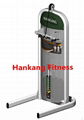 hammer strength,Wrist Curl+Forearm Developer  HN-2009  1