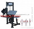 protraining equipme.fitness.hammer strength.Arm Curl-PT-803 1