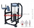  protraining equipme.fitness.hammer strength.Glute Machine-PT-816 1