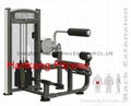 protraining equipme.fitness.hammer strength.Back Extension-PT-826 1