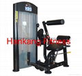 fitness ,fitness equipment,gym machine,Back Extension-PT-920 1