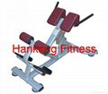 fitness.sports  machine.gym machine.Back Extension-PT-950  1