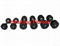  New Style HAMMER STRENGTH Dumbbell（HD-006） 1