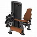 Leg Extension  DF-9013