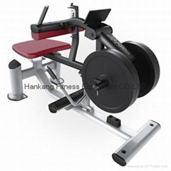 Calf Raise - DF-6009