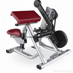 Biceps Curl - DF-6003