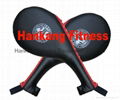 hammer strength weight plate,