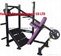 Pendulum-Squat - FW-617 1