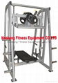 Commercial Vertical Leg Press FW-620 1