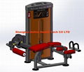 Prone Leg Curl-DF-8021