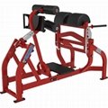 Hammer Strength, home gym,body building,Fixed Pad Glute (Ham) (DHS-3037) 1
