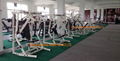 Hammer Strength,home gym,body-building,Incline Bench-55 degree,DHS-4004 2