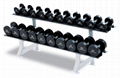 fitness equipment,home gym,body-building,Dumbbell Rack (10 ),DHS-4008 1