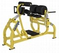fitness equipment,home gym,body-building,Latest Glute(Ham).DHS-4033