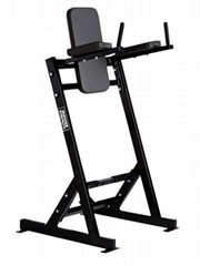 Hammer Strength,home gym,body-building,Leg Raise,DHS-4020