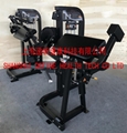 Shoulder Press - DF-7009