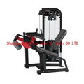 Seated Leg Curl - DF-7019