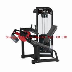 Seated Leg Curl - DF-7019 