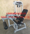 Seated Leg Curl - DF-7019  17